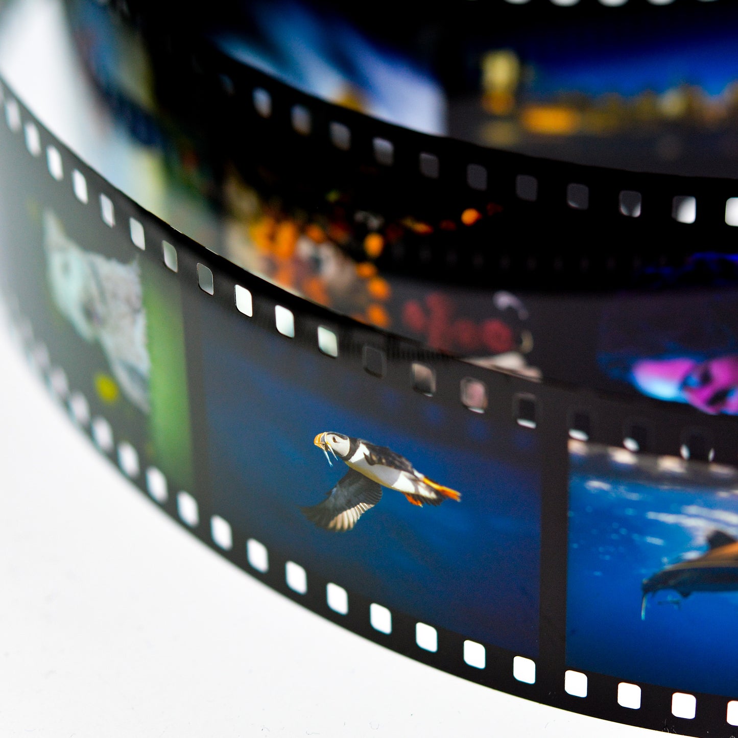 35mm Unmounted Slides×36 From Digital Images