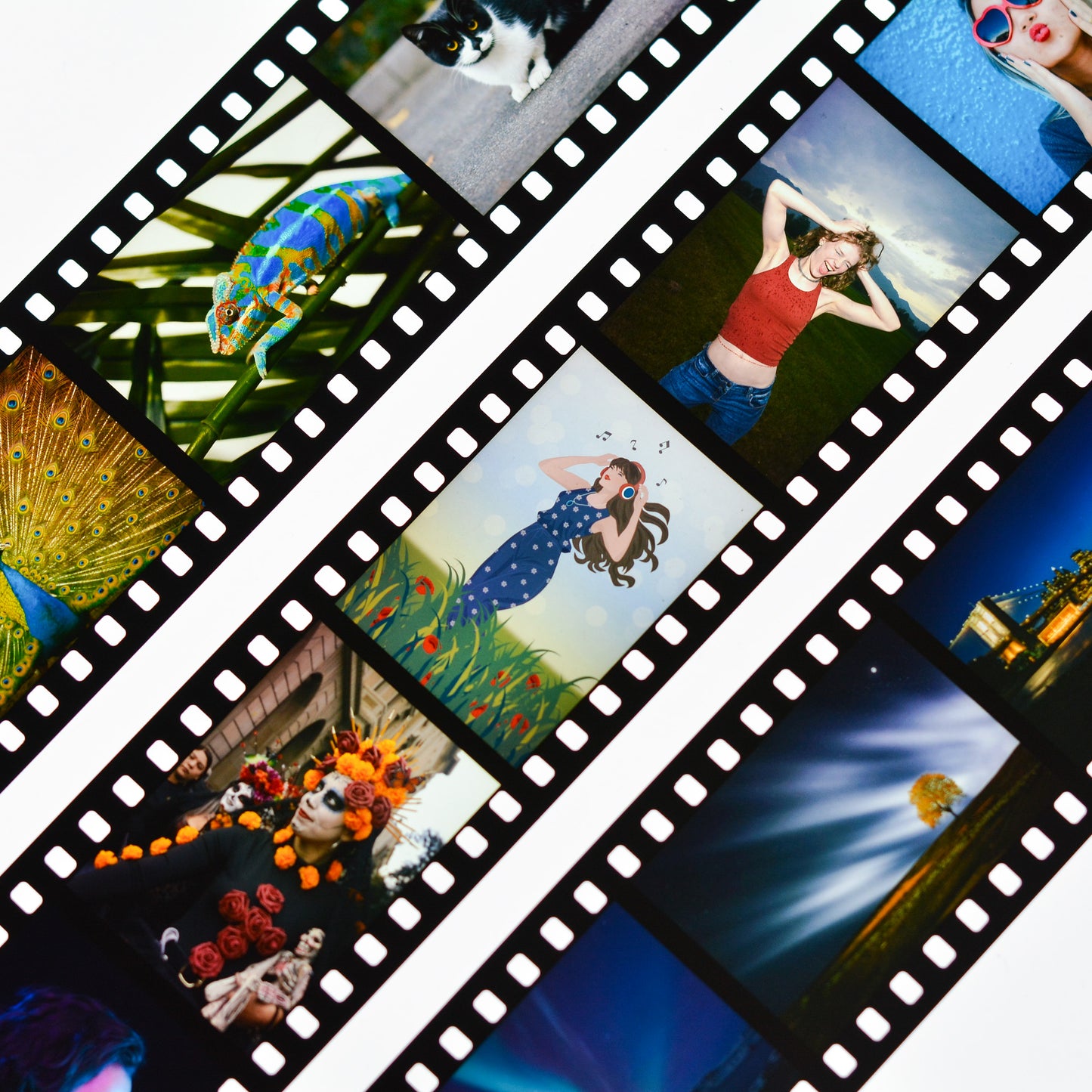 35mm Unmounted Slides×36 From Digital Images