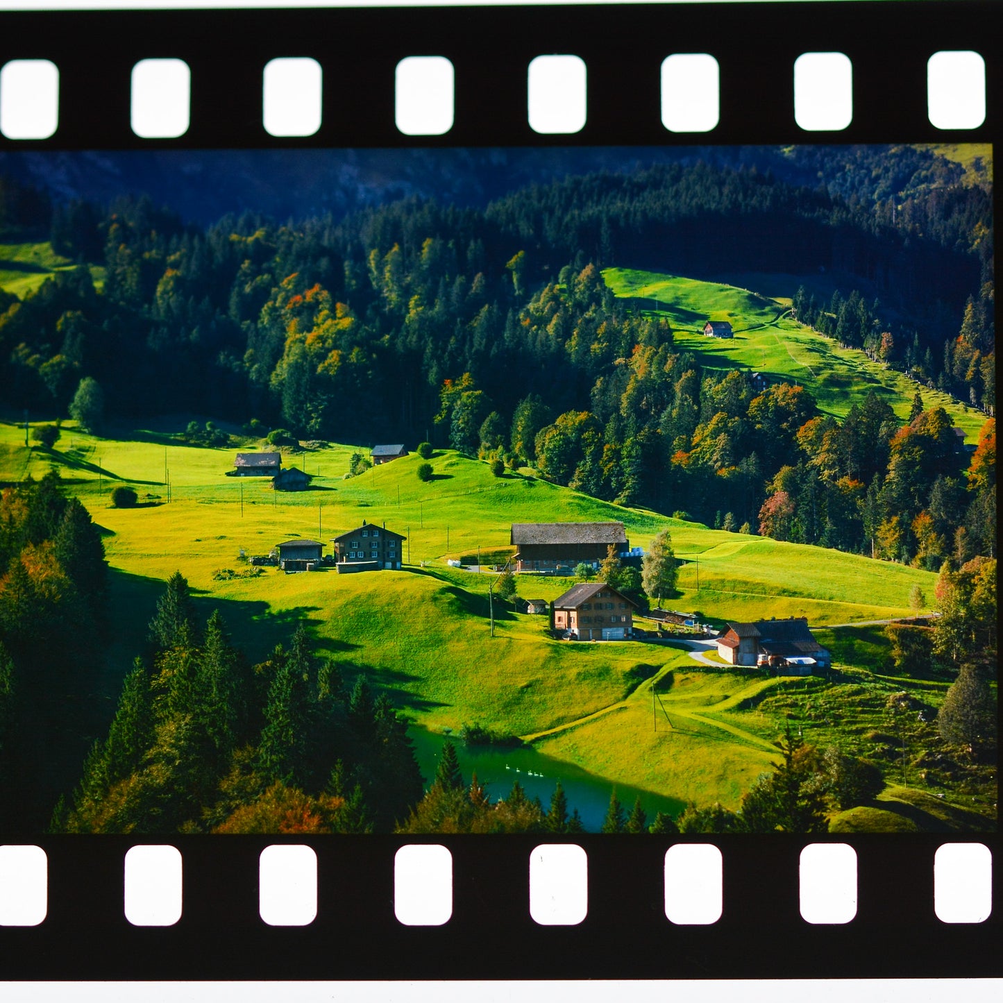 35mm Unmounted Slides×36 From Digital Images