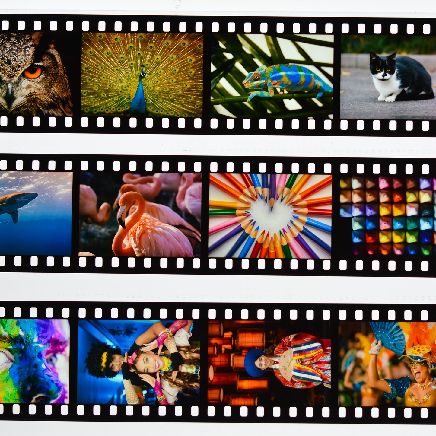 35mm Unmounted Slides×36 From Digital Images
